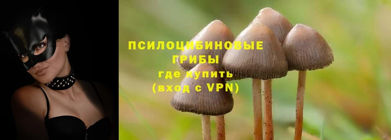 цены наркотик  блэк спрут ссылки  Галлюциногенные грибы Cubensis  Батайск 